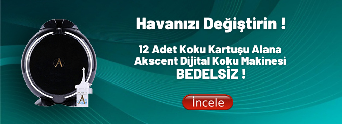 bedelaşiz