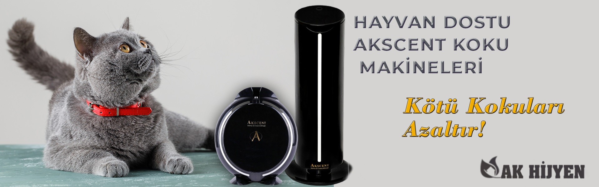 Akscent Maxi 2
