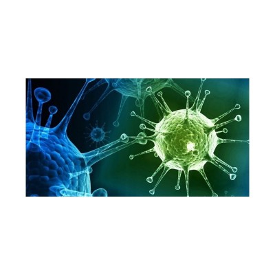 Wuhan Virüsü Önleme Faaliyetleri
