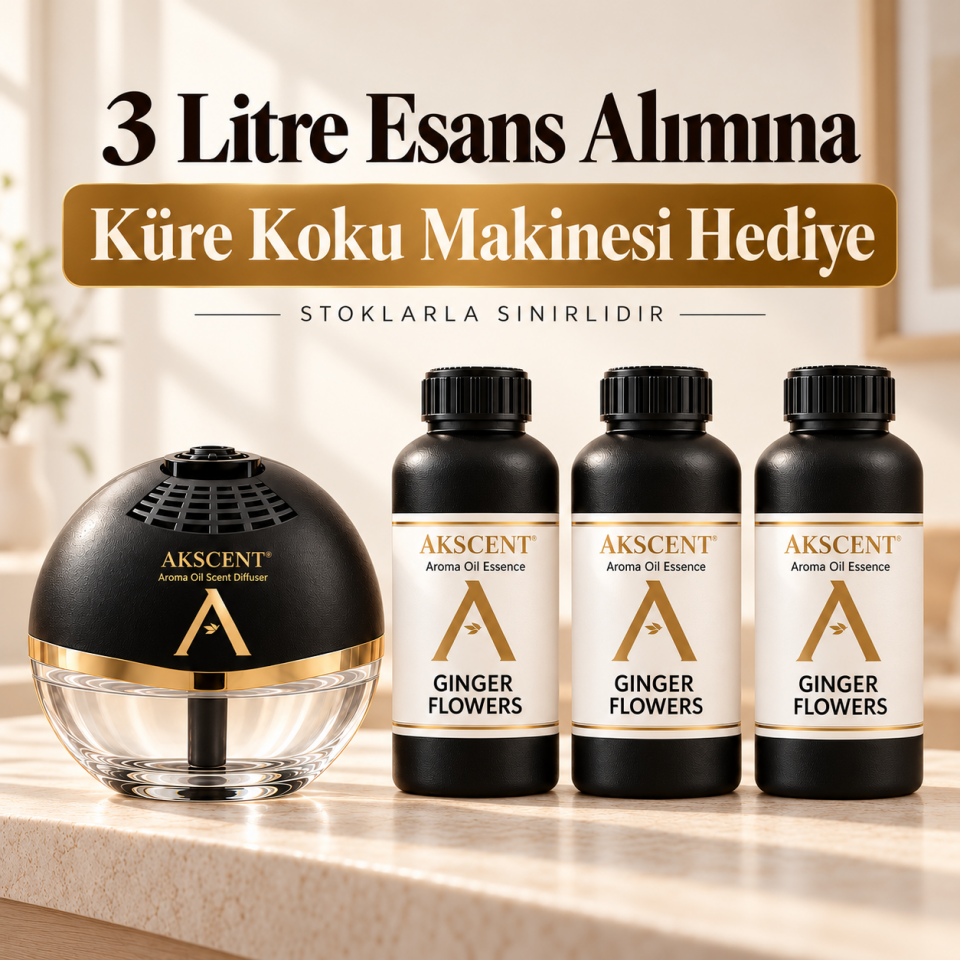 3 Litre AKSCENT Esans Alımına Küre Koku Makinesi Hediye
