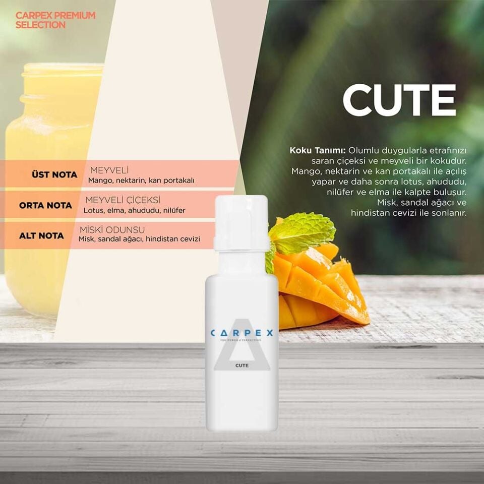 Carpex Auramax 250 ml Koku Kartuşu Classic Seri - Cute