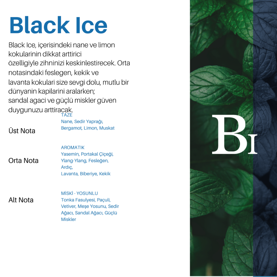 Carpex Auramax 250 ml Koku Kartuşu Premium Seri - Black Ice