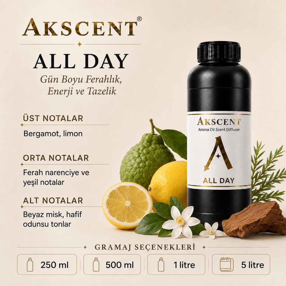 AKSCENT All Day Ortam Kokusu Esansı