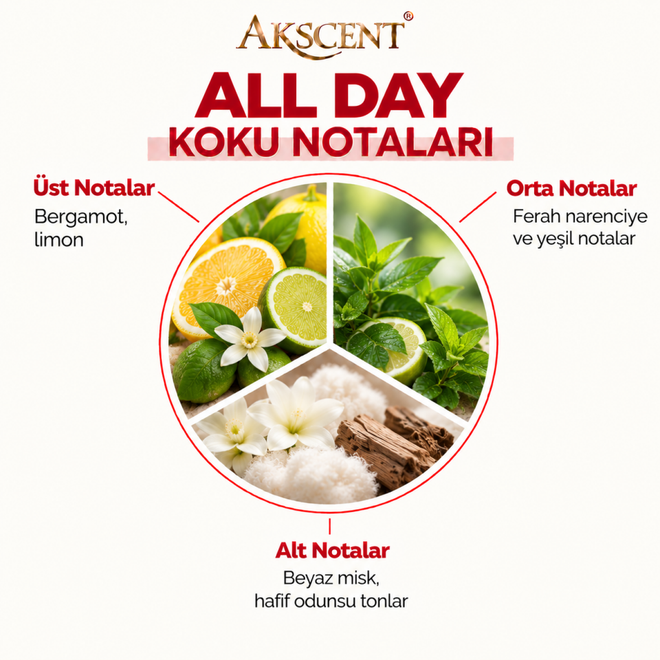 AKSCENT All Day Ortam Kokusu Esansı