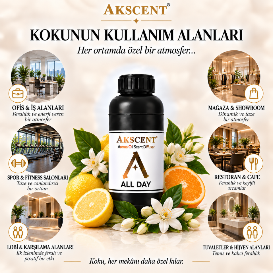 AKSCENT All Day Ortam Kokusu Esansı