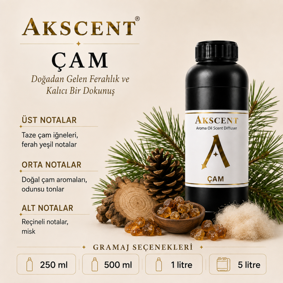AKSCENT Çam Ortam Kokusu Esansı