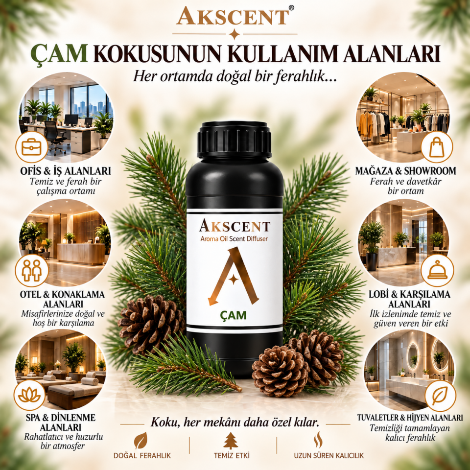 AKSCENT Çam Ortam Kokusu Esansı