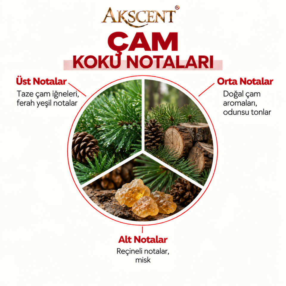 AKSCENT Çam Ortam Kokusu Esansı
