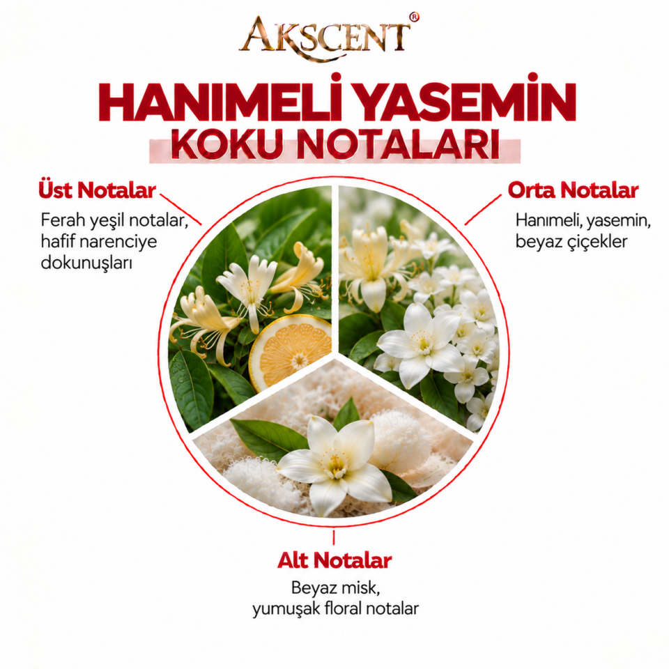 AKSCENT Hanımeli & Yasemin Ortam Kokusu Esansı
