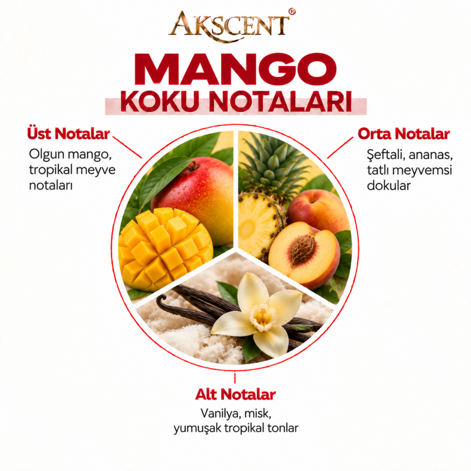 AKSCENT Mango Ortam Kokusu Esansı
