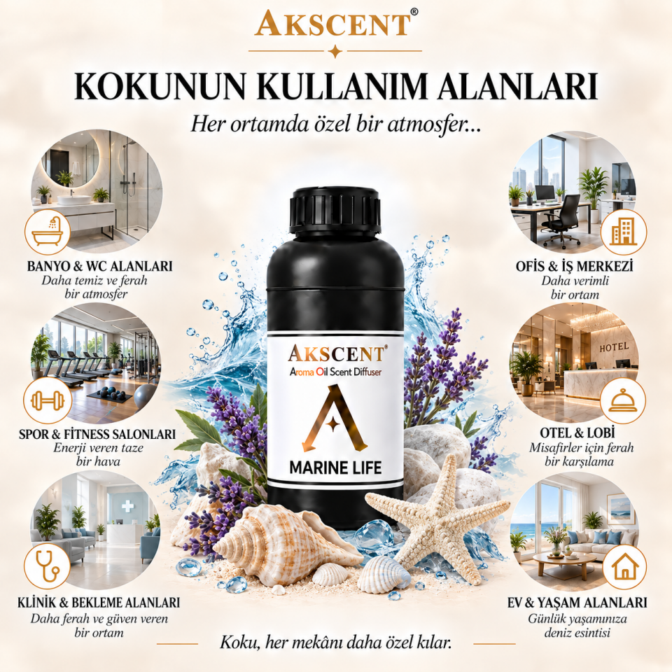 AKSCENT Marin Life Ortam Kokusu Esansı