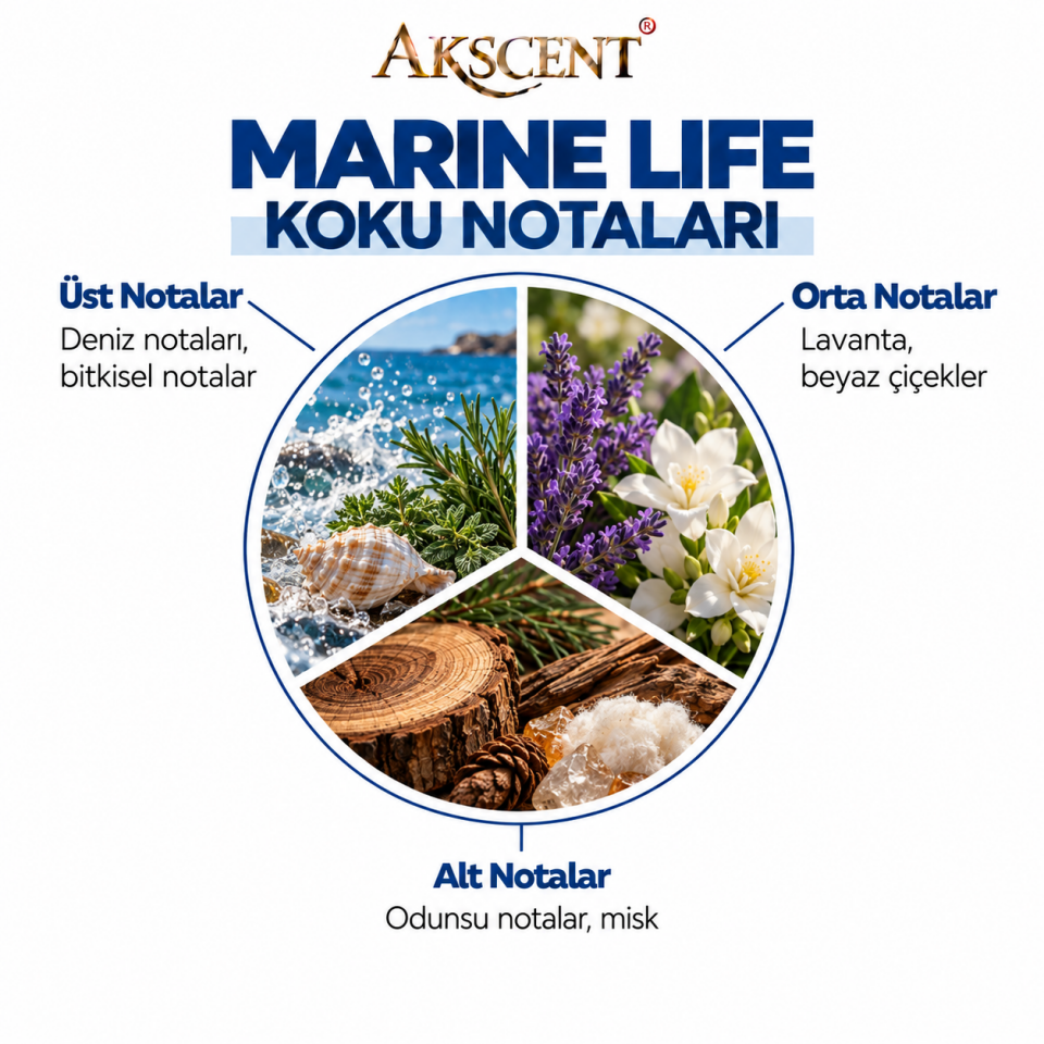 AKSCENT Marin Life Ortam Kokusu Esansı
