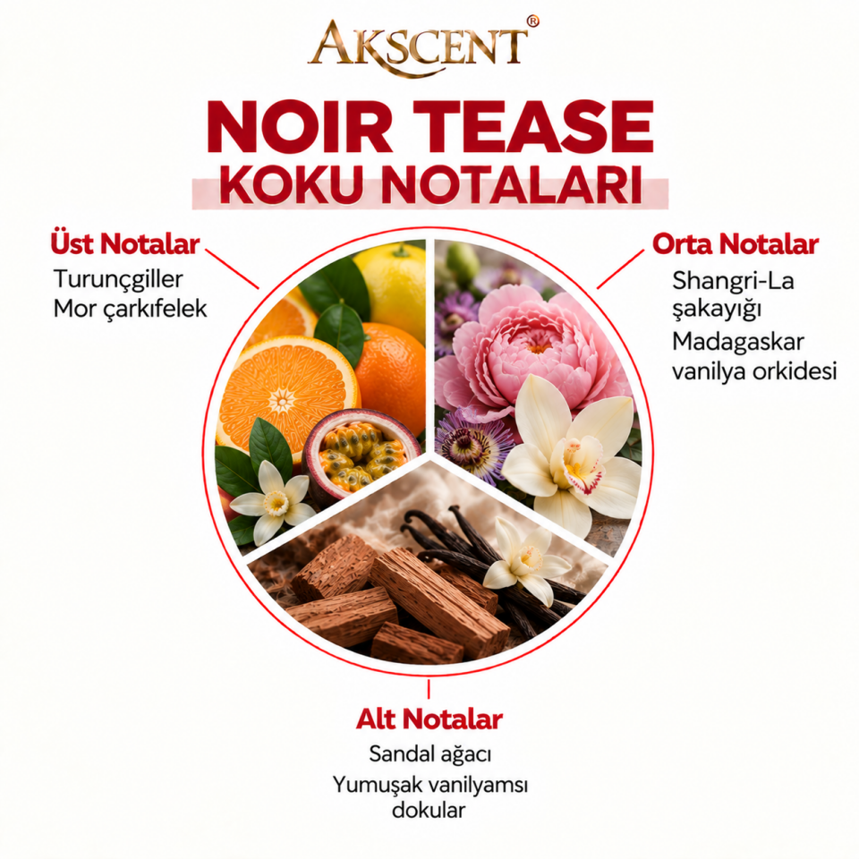AKSCENT Noir Tease Ortam Kokusu Esansı