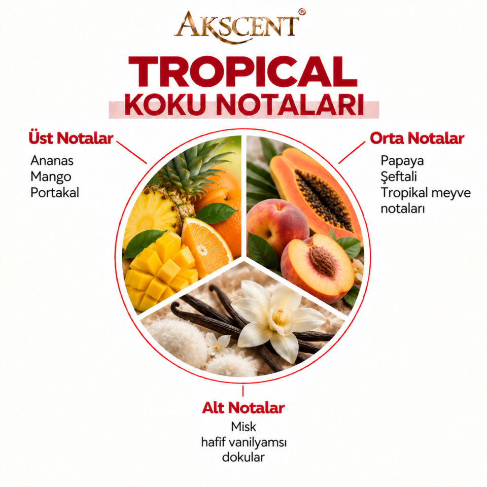 AKSCENT Tropical Ortam Kokusu Esansı