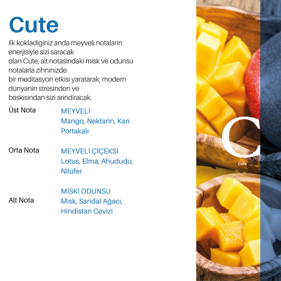 Carpex 50 ml Koku Kartuşu Classic Seri - Cute