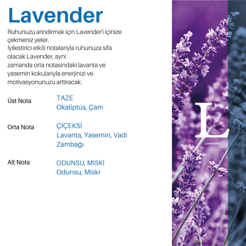 Carpex 50 ml Koku Kartuşu Classic Seri - Lavander