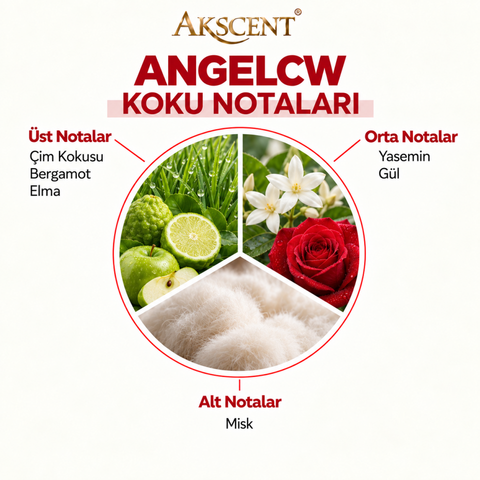 Akscent Pro Geniş Alan Koku Makinesi ve Angelcw Koku Kartuşu 120 ml