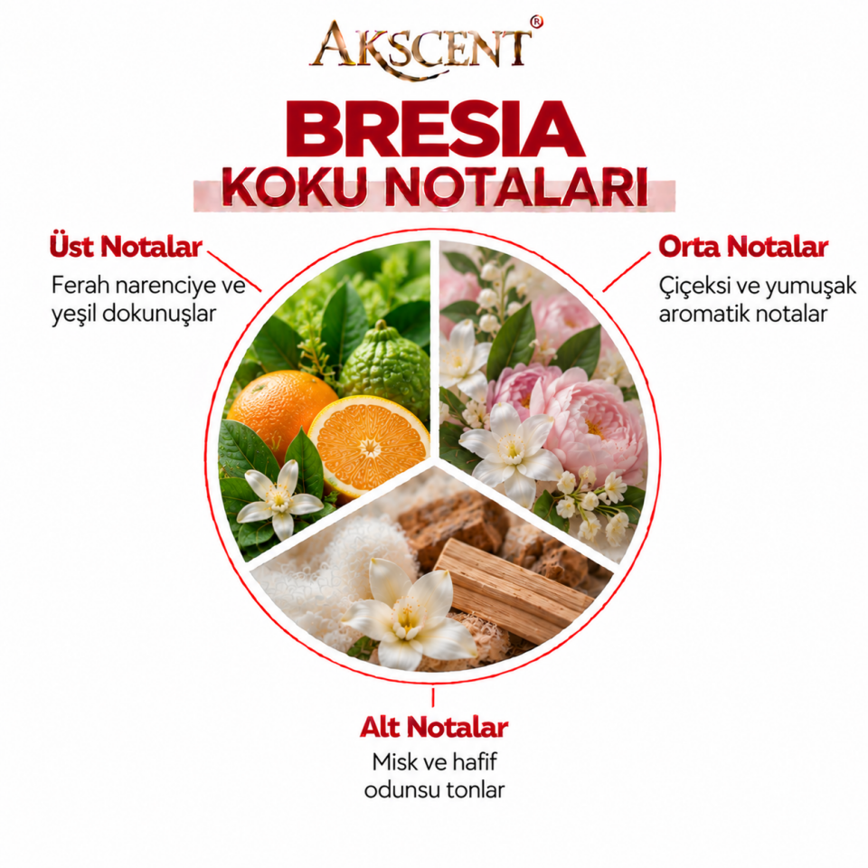 Akscent Pro Geniş Alan Koku Makinesi ve Bresia Koku Kartuşu 120 ml