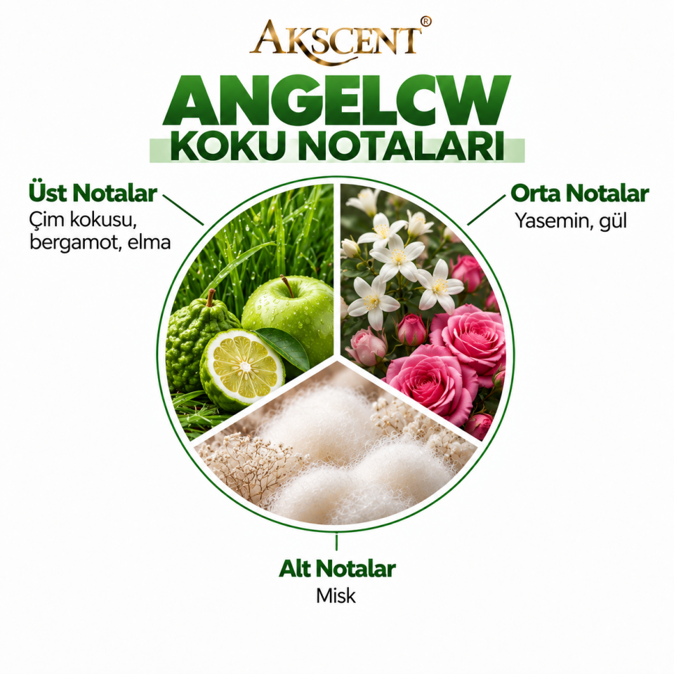 AKSCENT Angelcw Ortam Kokusu Esansı