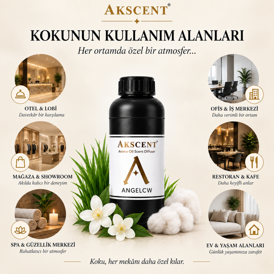 AKSCENT Angelcw Ortam Kokusu Esansı