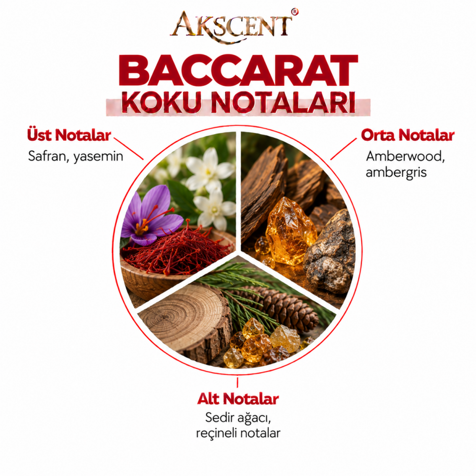 AKSCENT Baccarat Ortam Kokusu Esansı