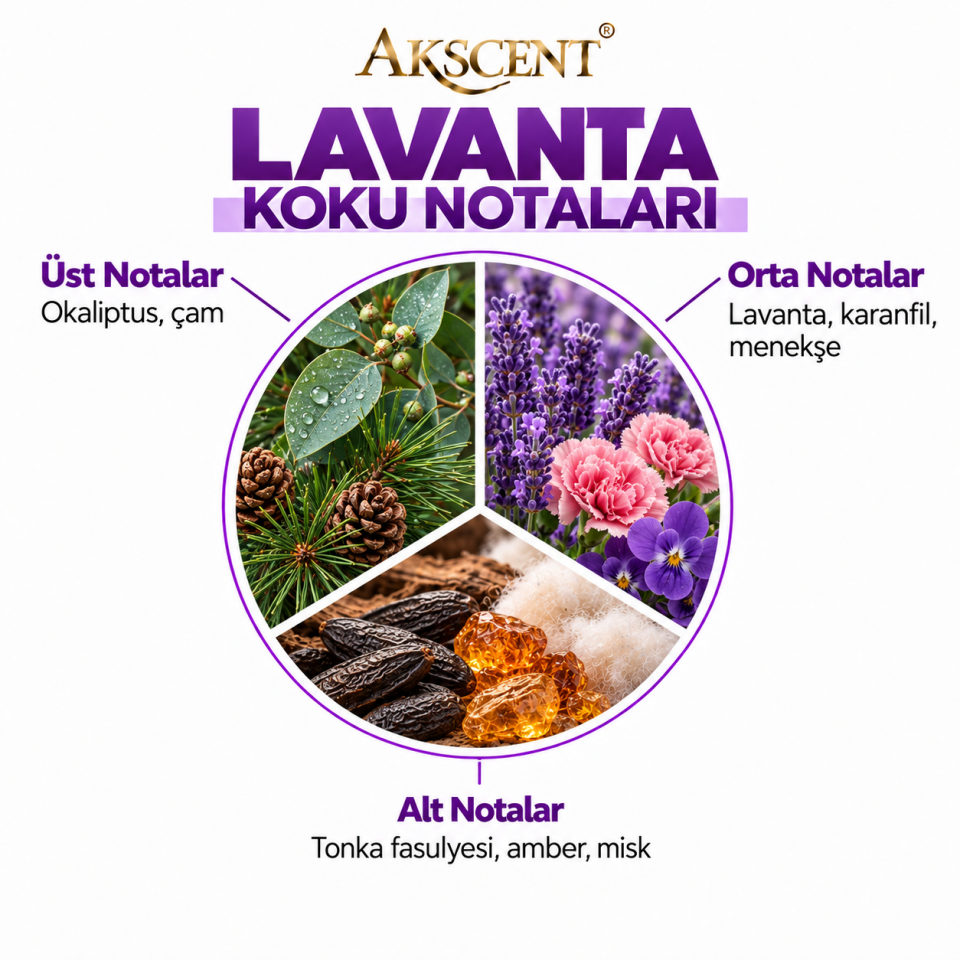 AKSCENT Lavanta Ortam Kokusu Esansı