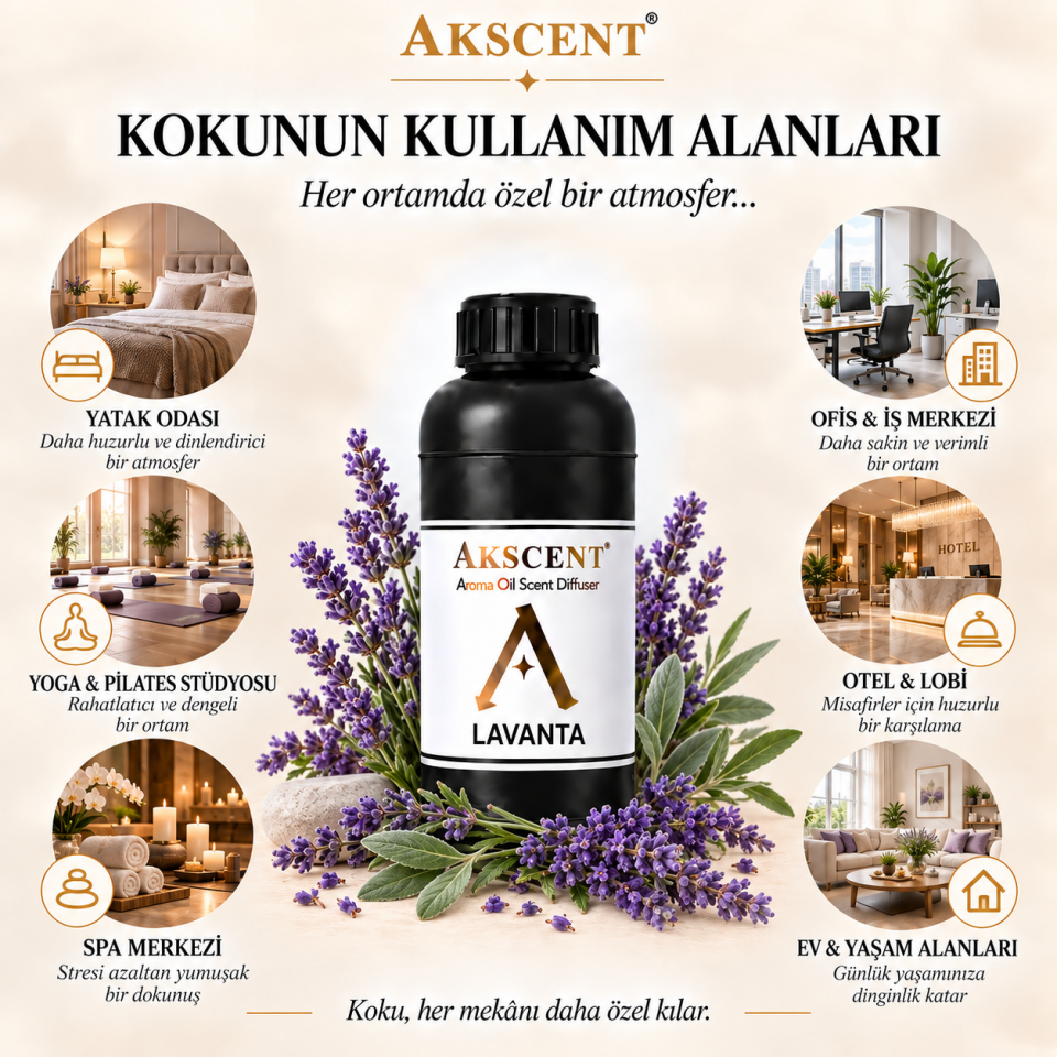 AKSCENT Lavanta Ortam Kokusu Esansı