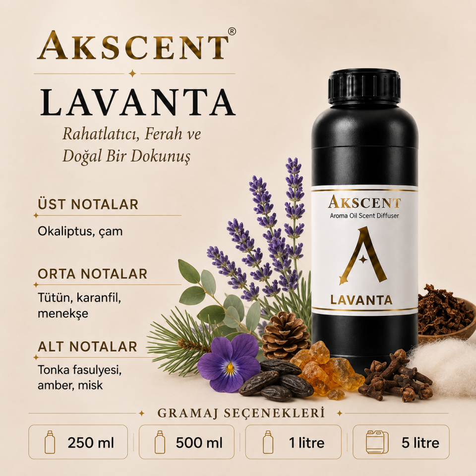 AKSCENT Lavanta Ortam Kokusu Esansı