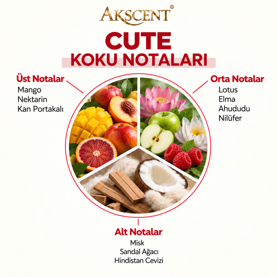 Akscent 250 ml Ortam Kokulandırma Esansları – 4 Al 3 Öde