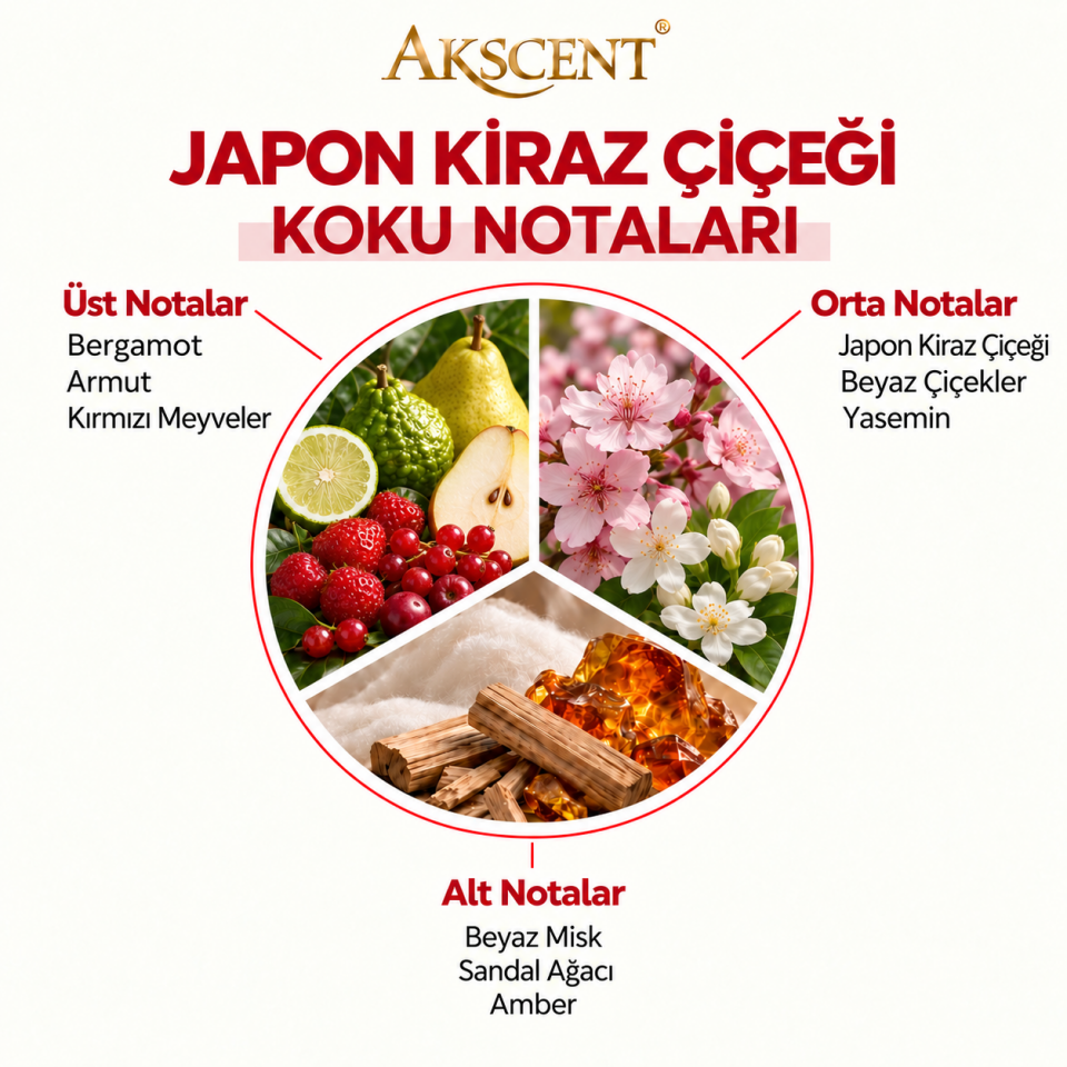 AKSCENT Japon Kiraz Çiçeği Ortam Kokusu Esansı